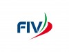 FIV_logo.JPG